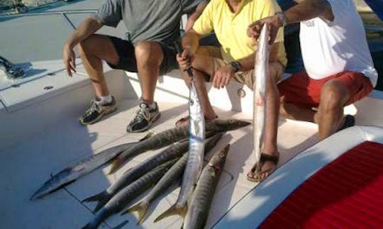 Professional Deep Sea Fishing with Best Catches in Abu Dhabi- Book now!