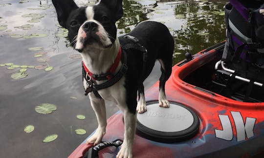 Location de kayak assis en tandem à Oro Valley, en Arizona