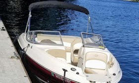 TJ's 198 LX deck boat  with or without Captain -  Mercer Island, Lake Washington