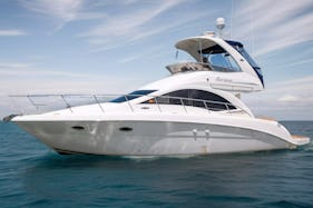 SeaRay American Premium Yacht for Rent