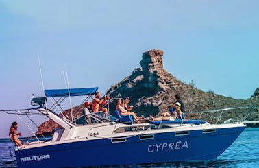 Charter a Bayliner Motor Yacht in Sonora, Mexico