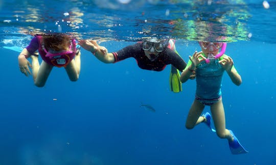 Scuba Diving boat trip in Bayahibe