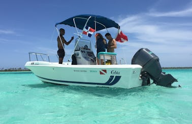 Scuba Diving boat trip in Bayahibe