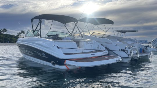 28ft Chaparral ride to Peanut island & Sandbar