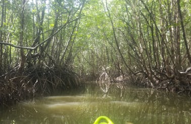 Kayaks/Paddleboards for Sea, Mangrove and Rivers in Ban Nam Kem, Bang Lut area