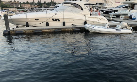 Captained Charter on Classy 50’ Sea Ray Hardtop Sundancer in Lake Washington