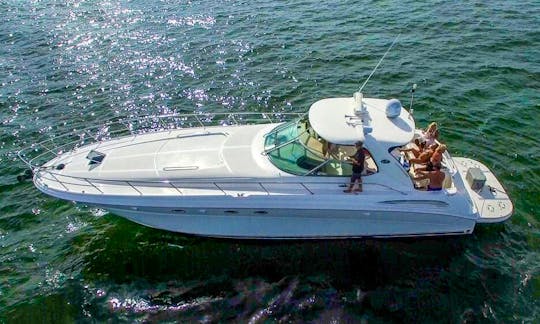 Sea Ray 510 for Charter in Fort Myers, Florida.