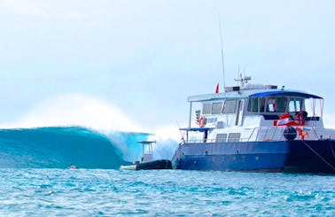Wild Cat Surf Charters, in Padang, Indonesia.
