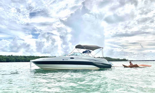 Experimente o Sea Ray de 26 pés em Miami!