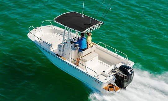 Alquila el Boston Whaler de 19 pies en Jolly Harbour