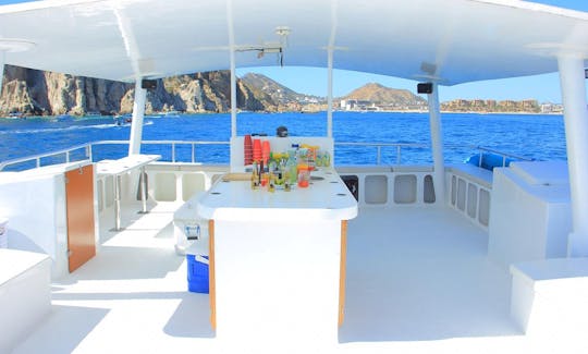 Captained Charter on 40' Power Catamaran in Cabo San Lucas, Baja California Sur