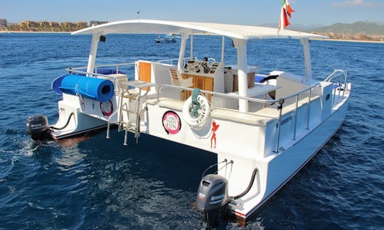 Captained Charter on 40' Power Catamaran in Cabo San Lucas, Baja California Sur