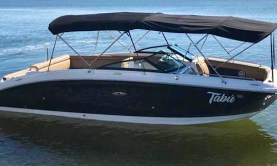 Brand new 28' Sea Ray Sundeck in Cancún   FREE JETSKI seadoo and free Ceviche