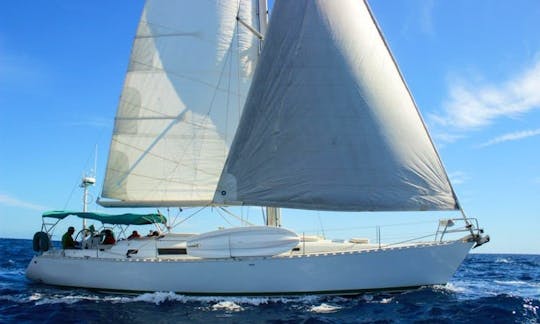 47' Sailboat Charter in Cabo San Lucas - “All Included”