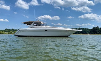 45 ft Express Yacht Charter - Seas The Day!