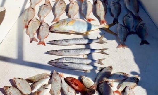 Barco de pesca en alta mar en Abu Dhabi: ¡reserve con los profesionales!