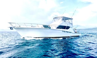 Deep Sea Fishing Charter Hatteras 60 Sportfishing Yacht from Olbia, Sardegna