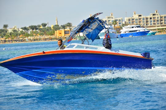 Nade con delfines en lancha rápida semiprivada y traslado - Hurghada