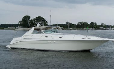 Sea Ray 450 Sundancer Luxury Cruising Yacht in Washington, D.C