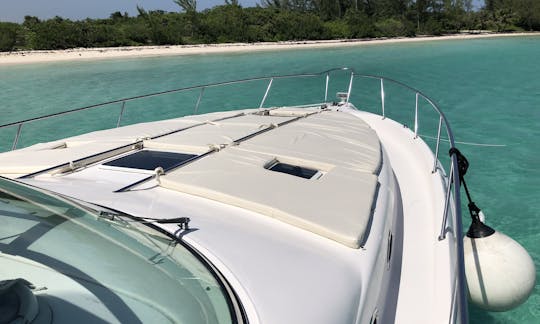 Yacht à moteur Sea Ray Sundancer de 48 pieds (tout compris) à Tulum