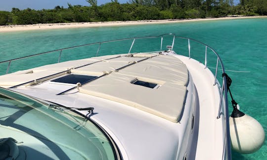 Spacious and elegant Sea Ray Sundancer 48ft Motor Yacht(All Inclusive) Tulum