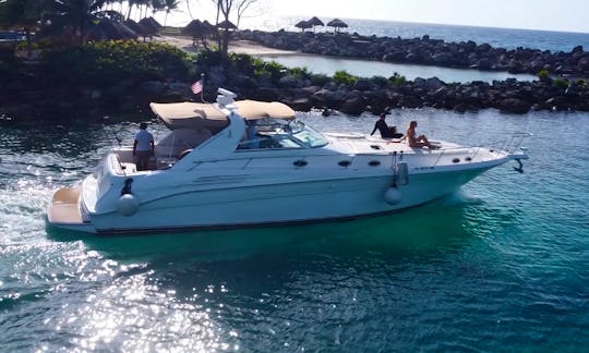 Beautiful and spacious Sea Ray Sundancer 48ft (All Inclusive) in Tulum