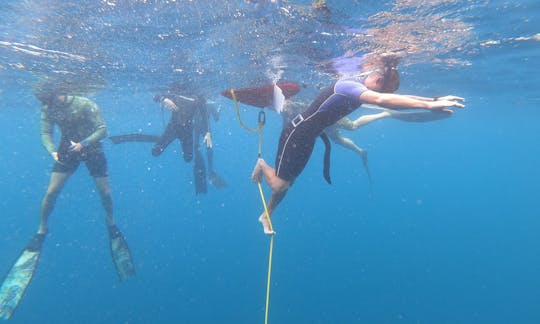 ¡Curso PADI de apnea en Quepos, Costa Rica!