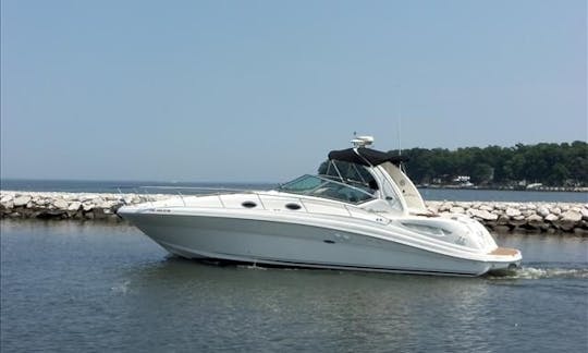 Navegue pelo rio Potomac no deslumbrante Sea Ray 340 Sundancer!