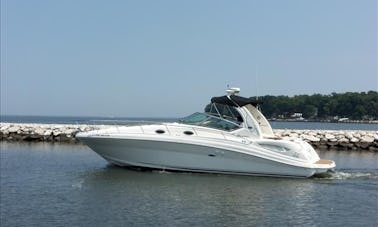 ¡Navega por el río Potomac en el impresionante Sea Ray 340 Sundancer!