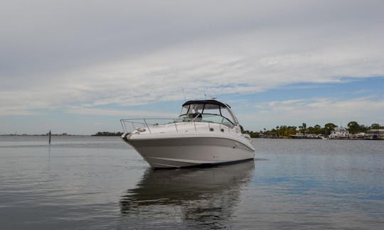 Navegue pelo rio Potomac no deslumbrante Sea Ray 340 Sundancer!