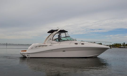 Navegue pelo rio Potomac no deslumbrante Sea Ray 340 Sundancer!