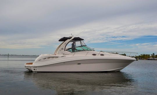 Cruise the Potomac River on Stunning Sea Ray 340 Sundancer!