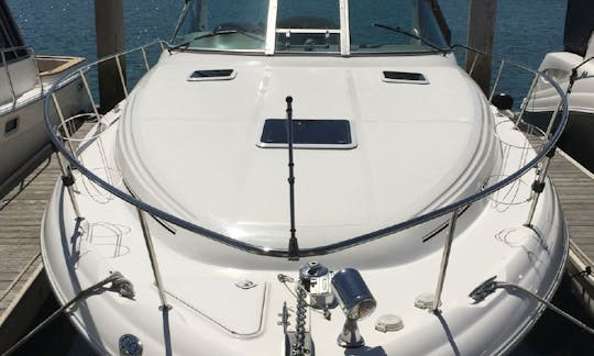 ¡Navega por el río Potomac en el impresionante Sea Ray 340 Sundancer!