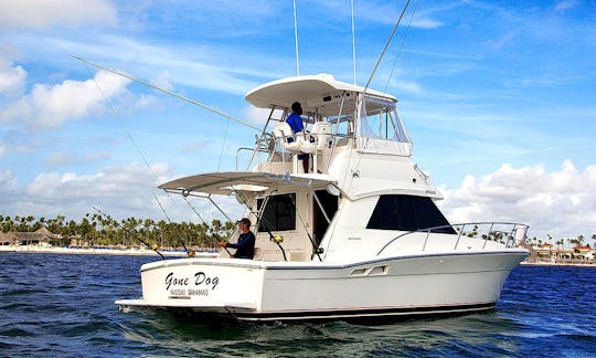Private Fishing Charter on 37' Sportfishing Yacht in Punta Cana, La Altagracia