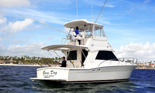 Private Fishing Charter on 37' Sportfishing Yacht in Punta Cana, La Altagracia