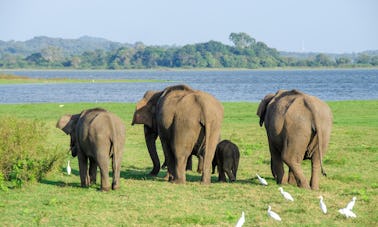 Wilpattu Boat Tour & Jeep Safari - Boat Trip