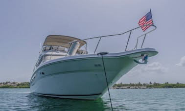 51' Sea Ray (iate para 4 piratas)