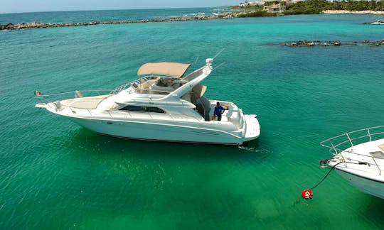 51' Sea Ray Private Yacht Charter for Rent in the (Riviera Maya) - Afternoon Charter