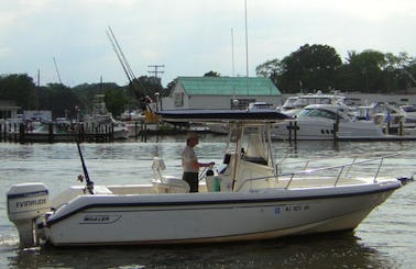 23' Boston Whaler for Charter in Brielle, NJ
