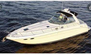 40ft Luxurious Sea Ray Sundancer Yacht, Minimum 4 hours. The best value!!!!