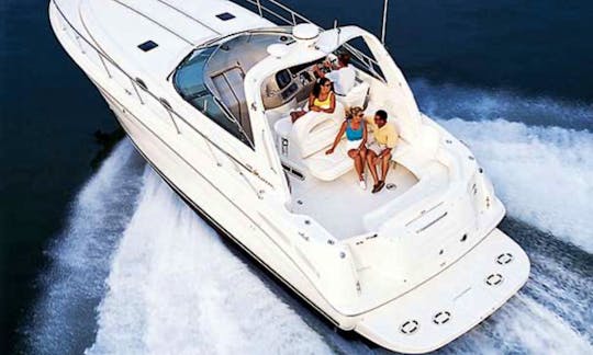 40ft Luxurious Sea Ray Sundancer Yacht, Minimum 4 hours. The best value!!!!