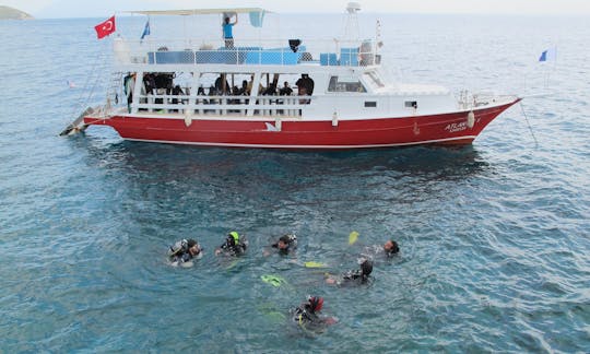 ¡Clases de buceo en aguas cristalinas en el mar Mediterráneo! ¡Entrenamiento y lecciones!