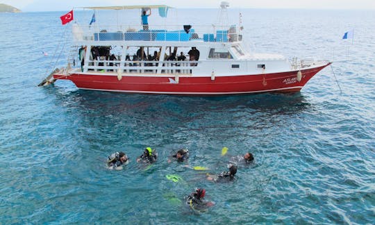 Crystal Clear Water Diving Lessons on the Mediterranean Sea! Training & Lessons!