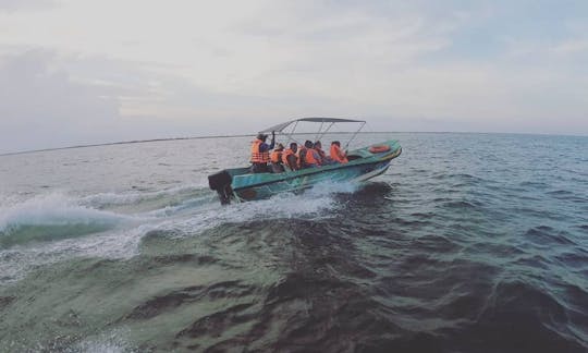 Whales Watching Kalpitiya - Boat Trip