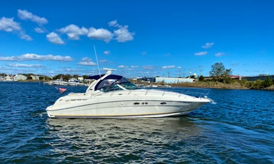 41’ Searay Sport Yacht in the Great South Bay, Fire Island  for Day Trips