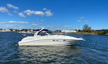 Yate deportivo Searay de 41 pies en Great South Bay, Fire Island, para excursiones de un día