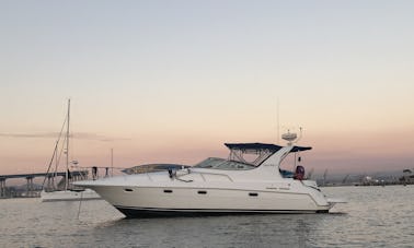 Gorgeous 40ft Cruisers Yacht with large floatie and two paddle boards! 