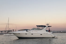 Private 37ft Cruisers Yacht w/ USCG Licensed Captain 