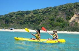 Dolphin View Kayaking Tours and Kayak Rental in Noosa, Queensland