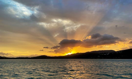 Sunset Cruise on Pontoon Boat with Bar in Airlie Beach!!